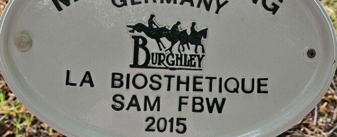 Michael-Jung-La-Biosthetic-Sam-FBW-Burghley-Horse-Trials