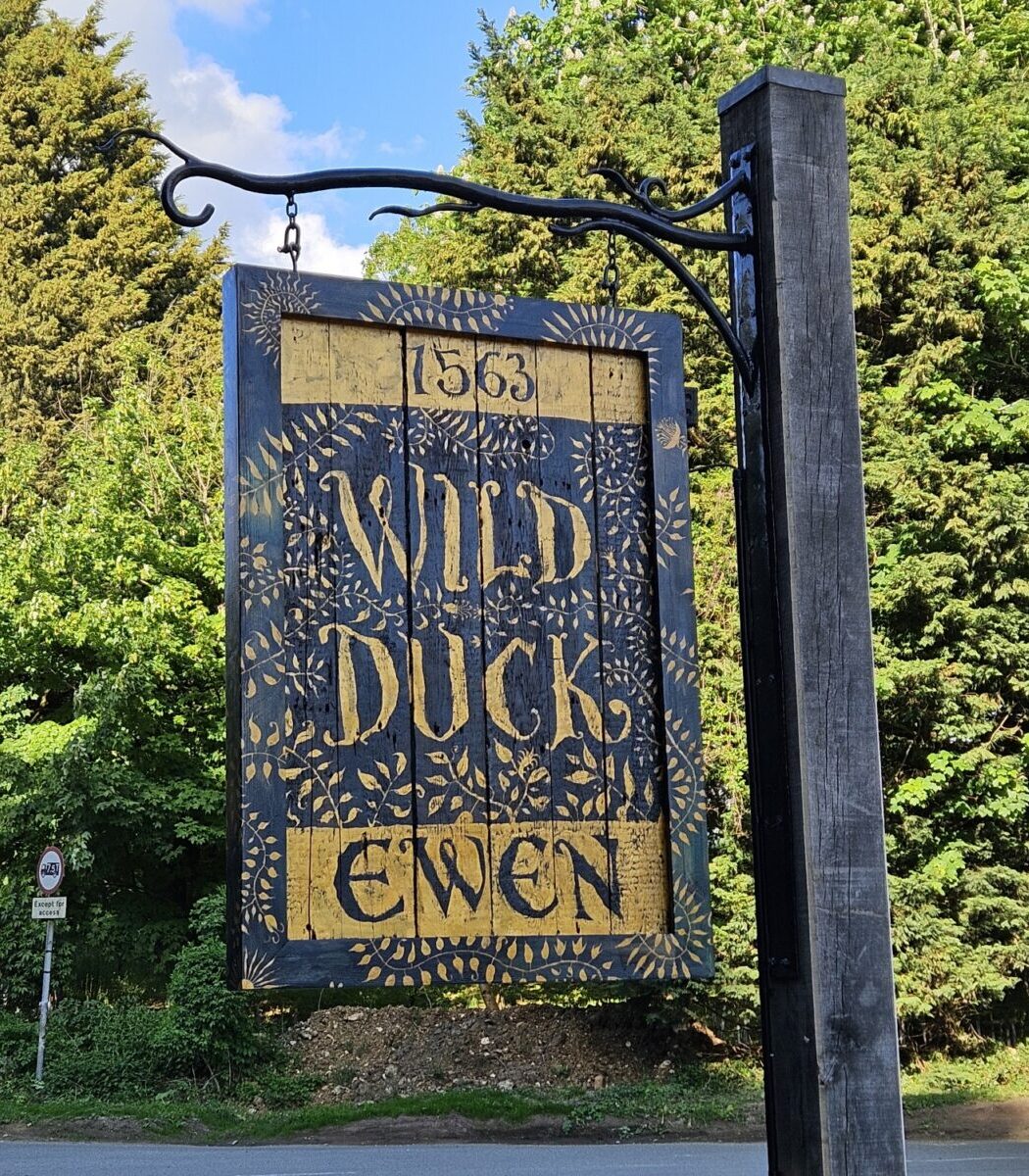 The Wild Duck Ewen Schild